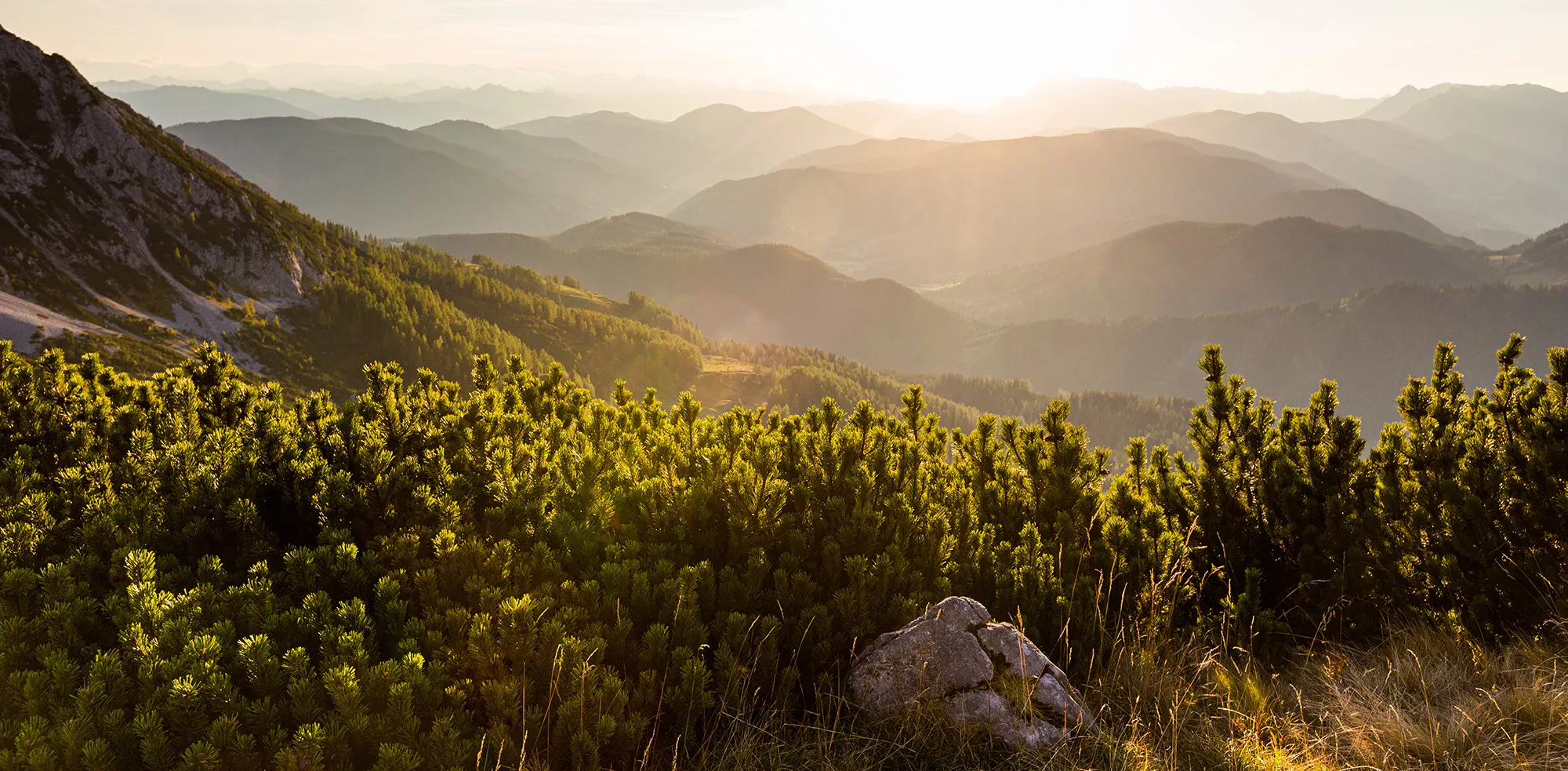 Paesaggio montano